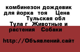 комбинезон-дождевик для йорка, тоя. › Цена ­ 350-00 - Тульская обл., Тула г. Животные и растения » Собаки   